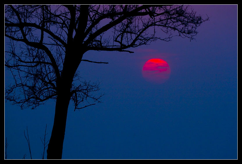 Sunset (4) Half Sun