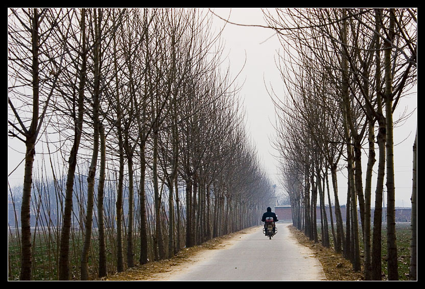 Road to a Village
