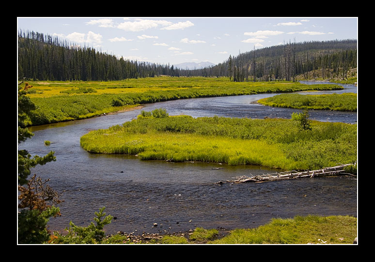 Yellowstone National Park