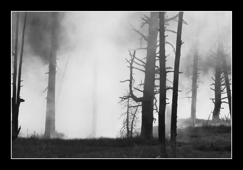 Yellowstone National Park