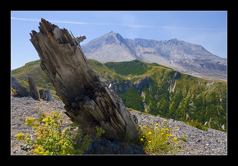 Mount St Helens