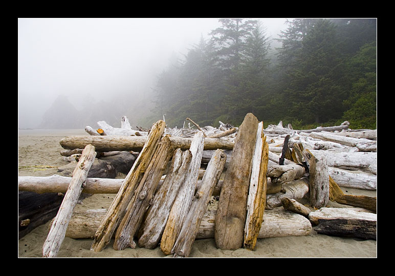 Driftwood
