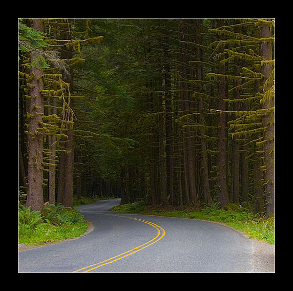 Olympic National Park