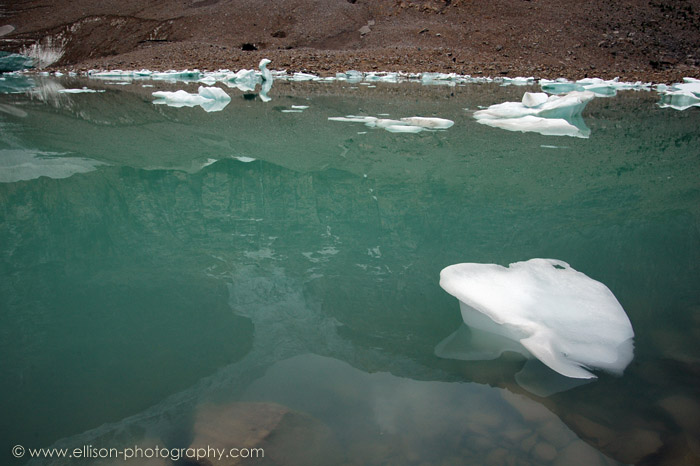 Swan Lake (reflection of Angel Glacier in Cavell Pond)