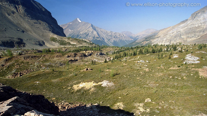 The meadows at Lake McArthur