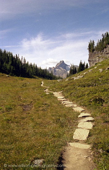 Cathedral Mountain from the Opabin Plateau