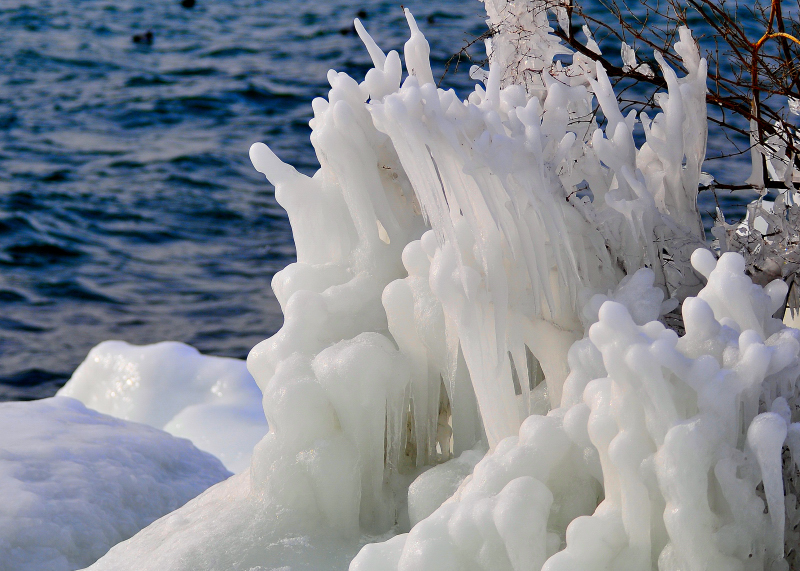 Ice Sculpture