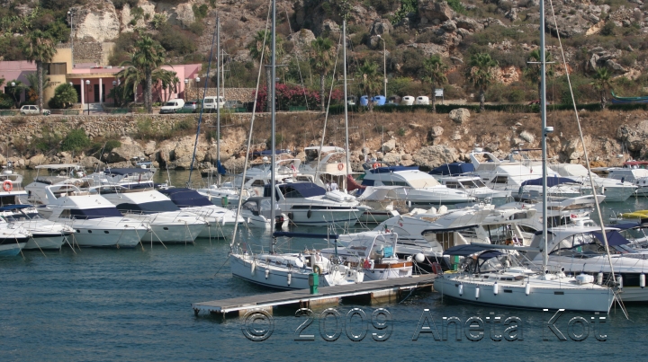 IMG_2898.JPG