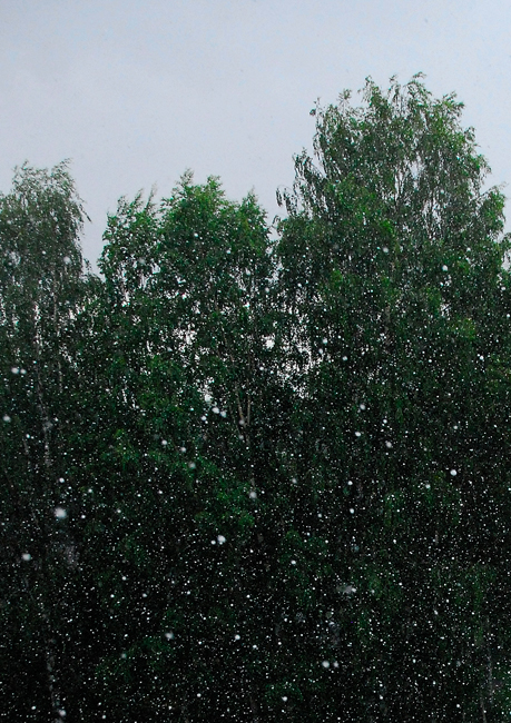 Giant hailstones (1,5-2 inch) once more in July!