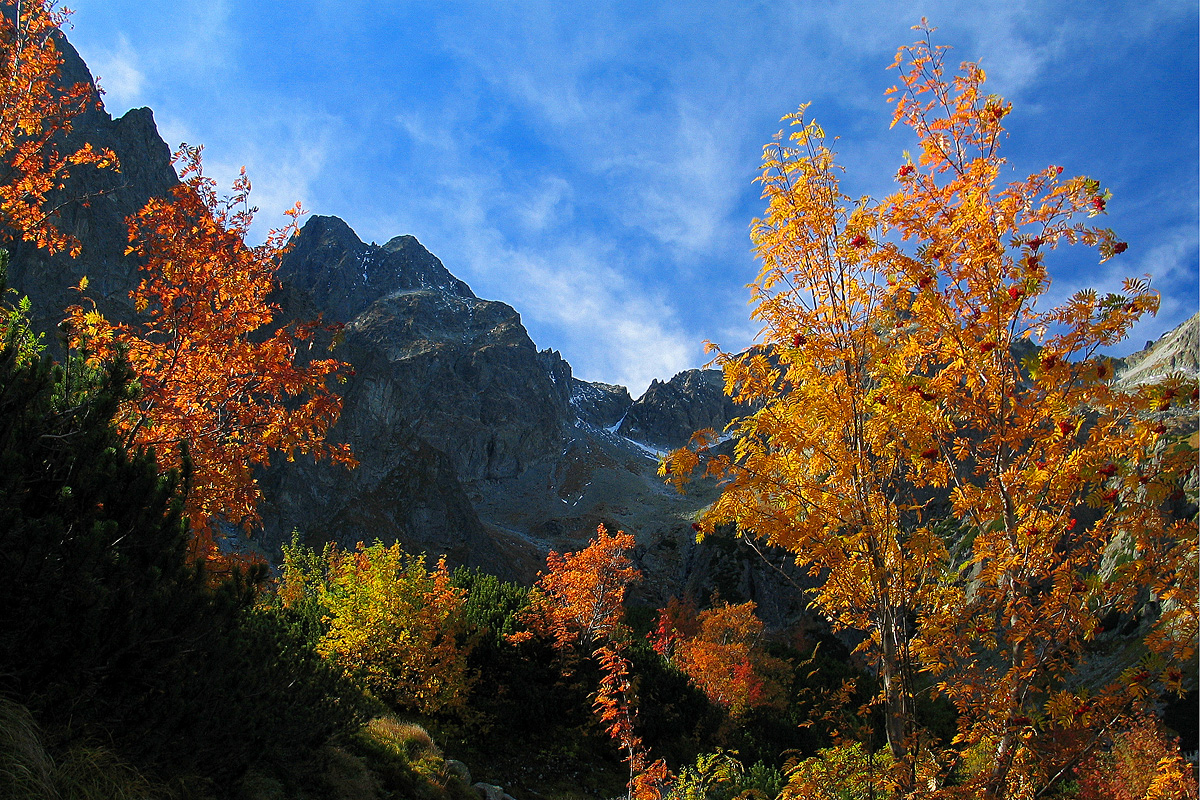 Autumn in High Tatras