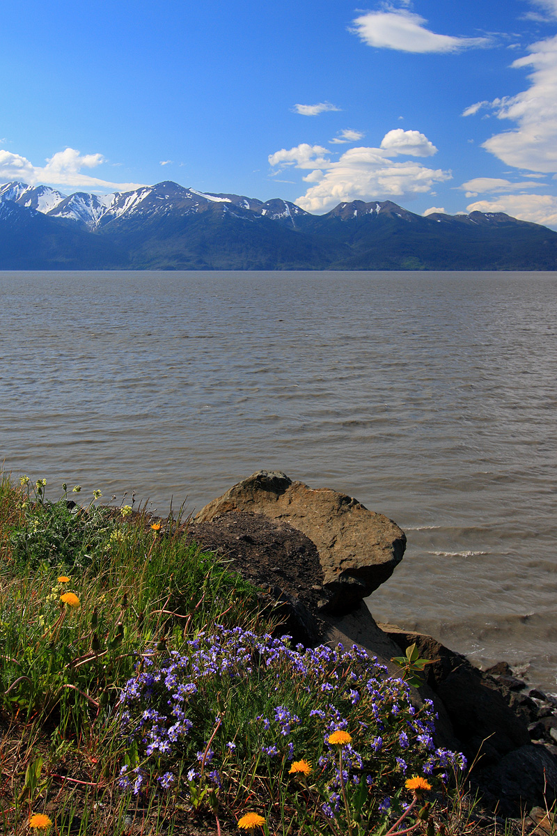 Turnagain Arm