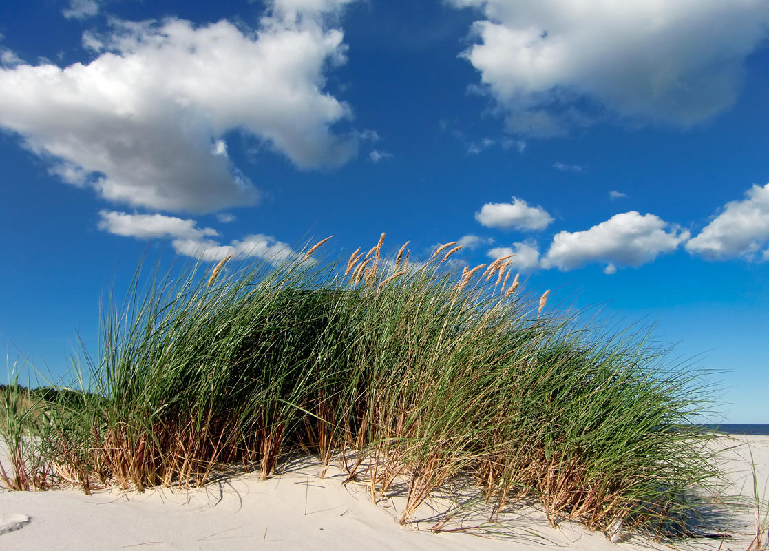Sandhammaren Beach