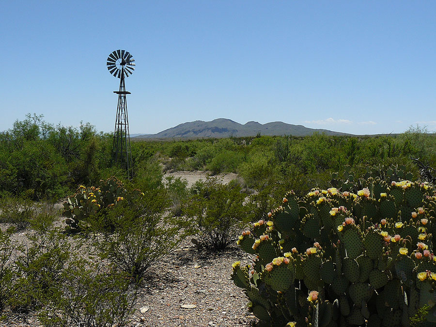 West Texas 305.jpg