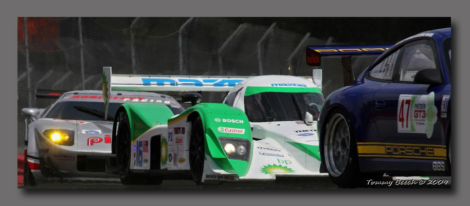 American Le Mans Series 2009