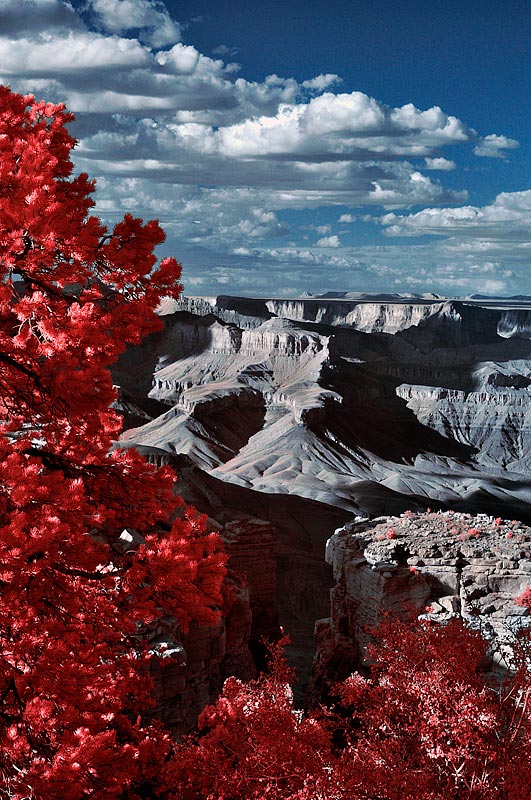 Grand Canyon in Infrared