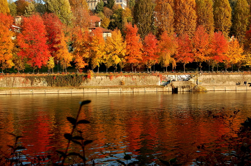 Turin -River Po