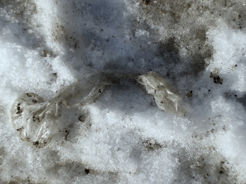Sex in the snow .......