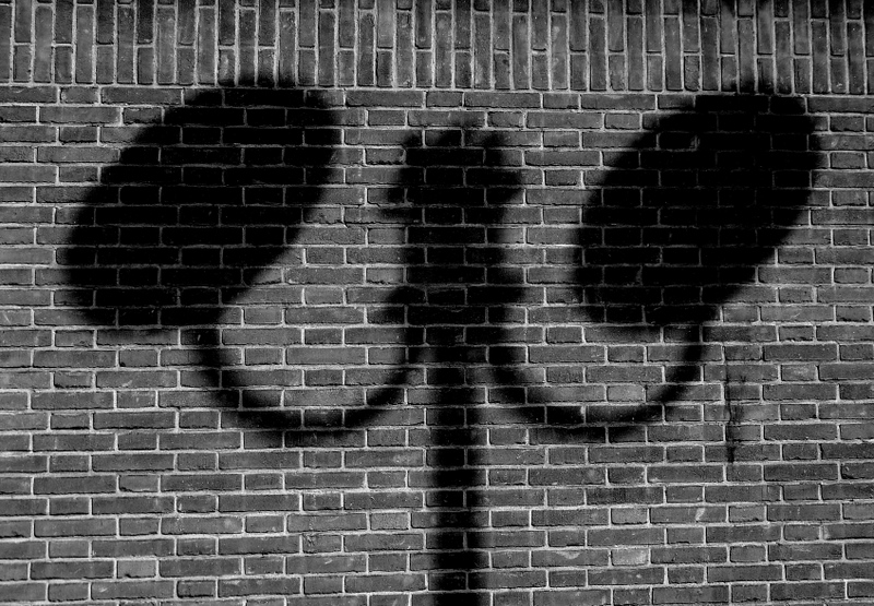 Shadows&Reflections in B&W