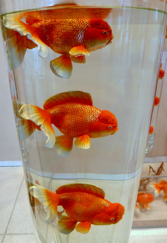 Red fish