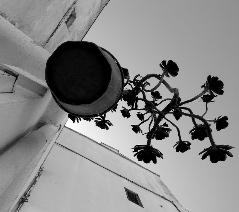 into the bucket of iron