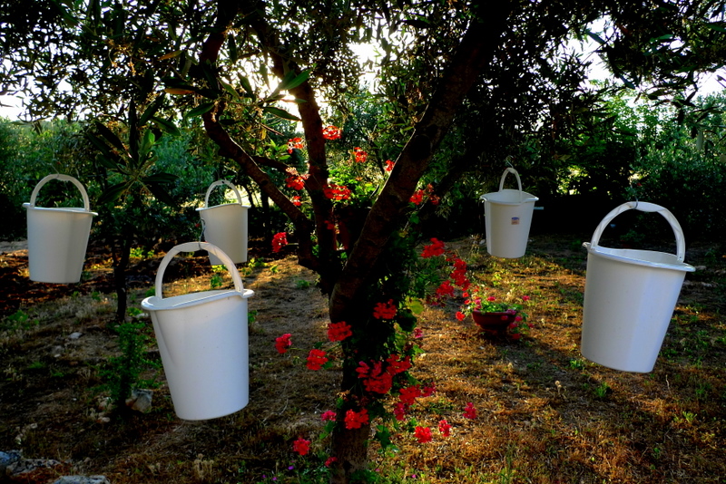 White Buckets