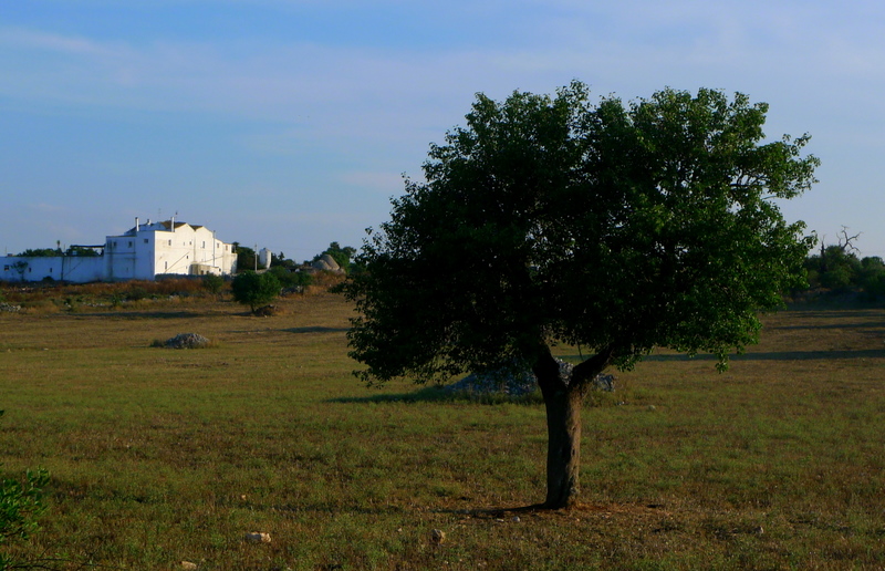Country Architecture - Ceglie Messapica - Italy