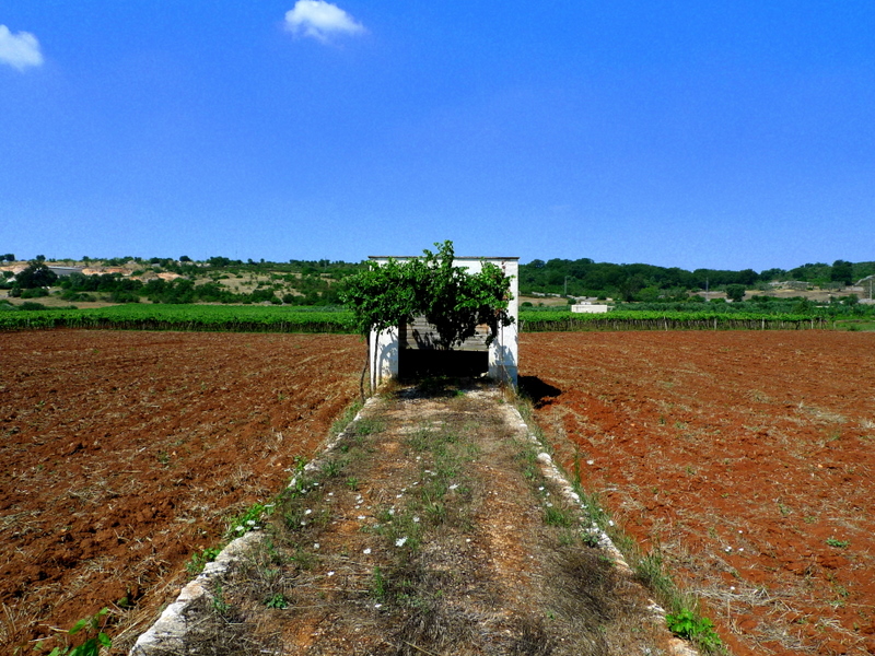 Ceglie Messapica - Italy  - Country