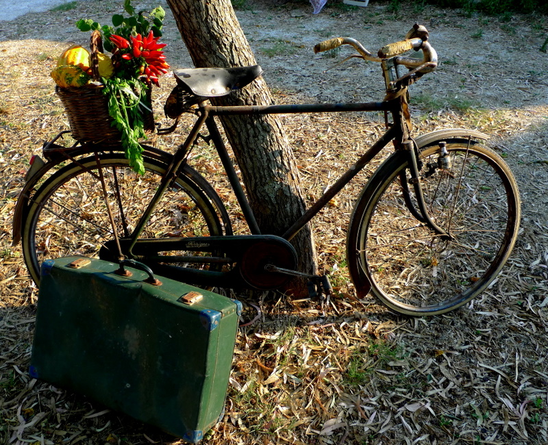 Leaving for a  ecological  holiday