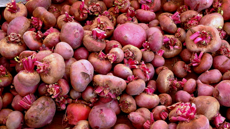 Shocking pink  Beet