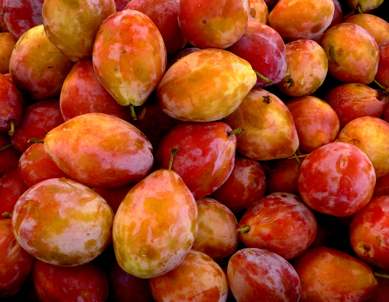 Orange plum