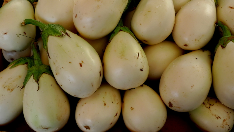 White Eggplant