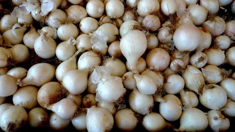 White onion