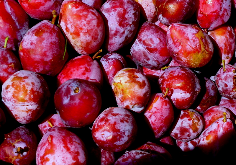 Reddish-purple plum