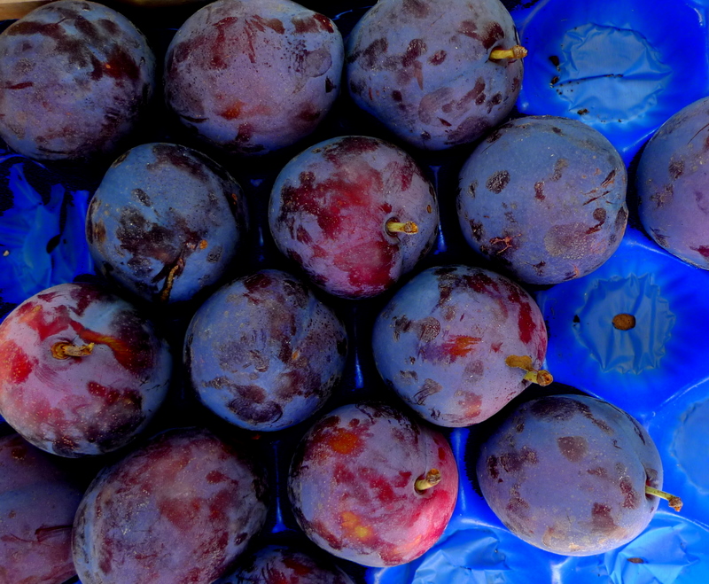 reddish Purple Plum