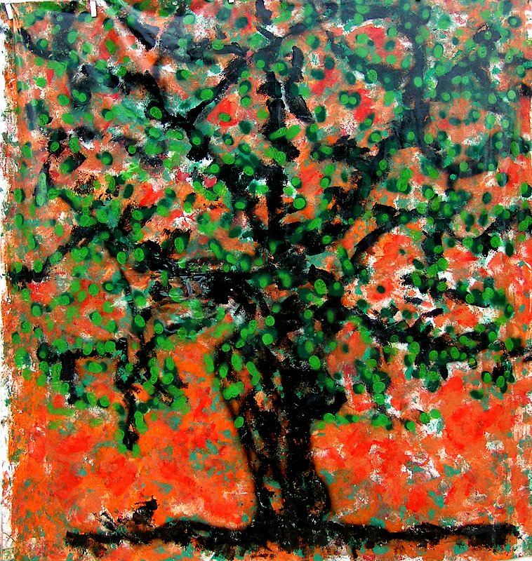  ulivo tree