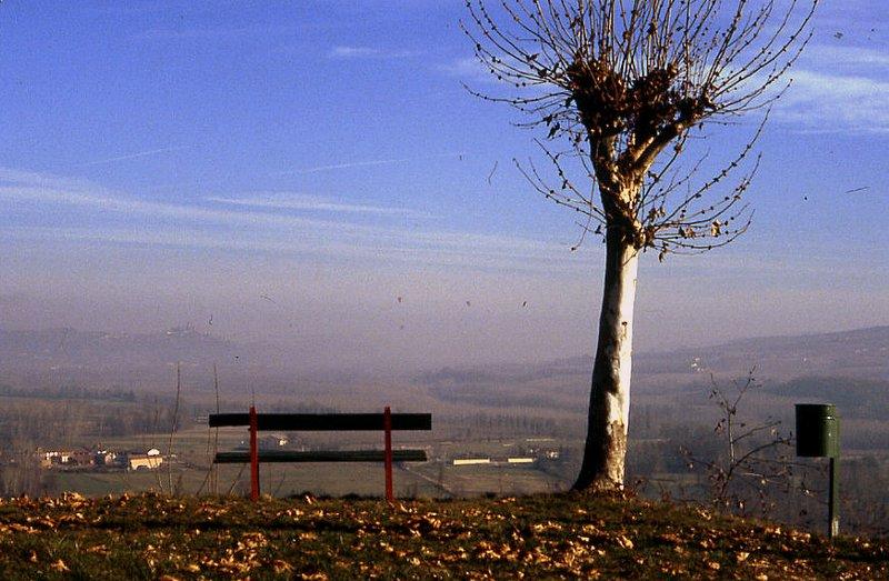Alba -Langhe - Italy