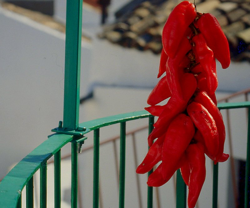 Pisticci - Italy