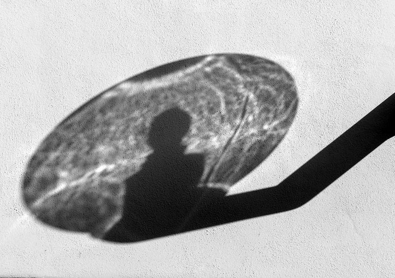 black&white shadow