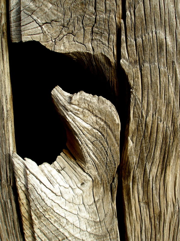 abstract  wood