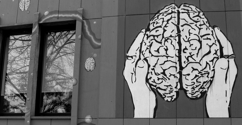 2 Windows  with brain