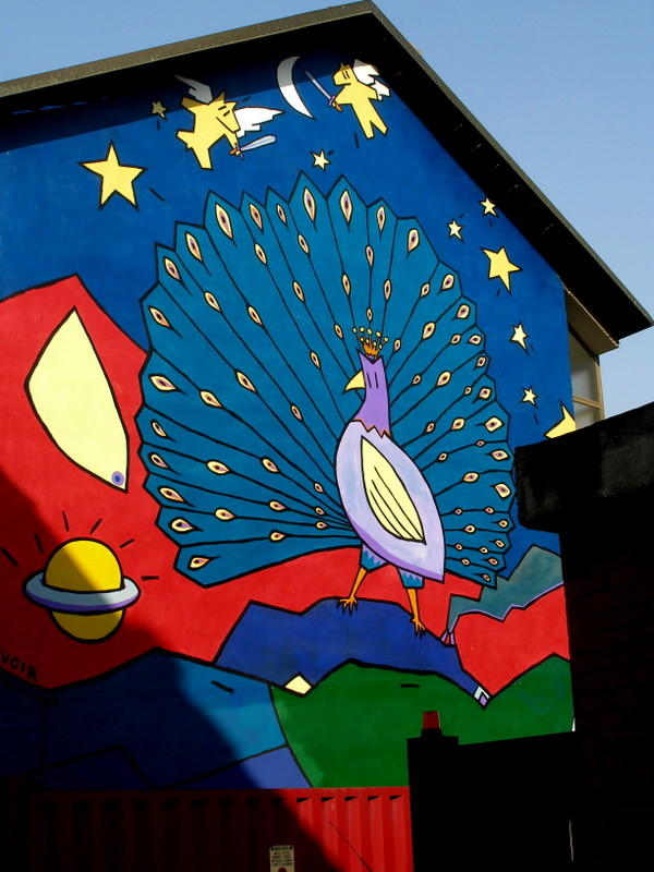 the peacock