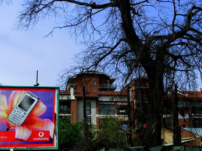 the mobile Tree