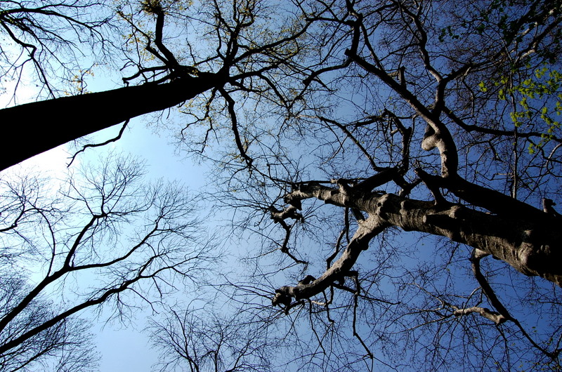 Racconigi - Italy
