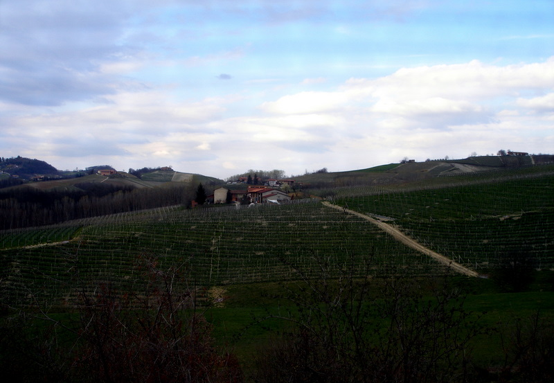 Langhe - Italy