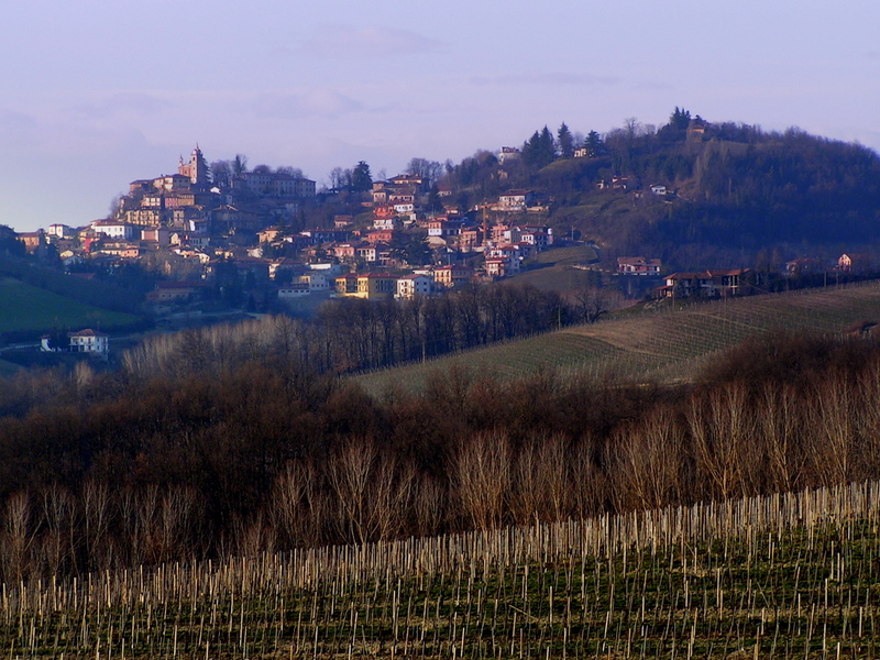 Monforte -Langhe - Italy
