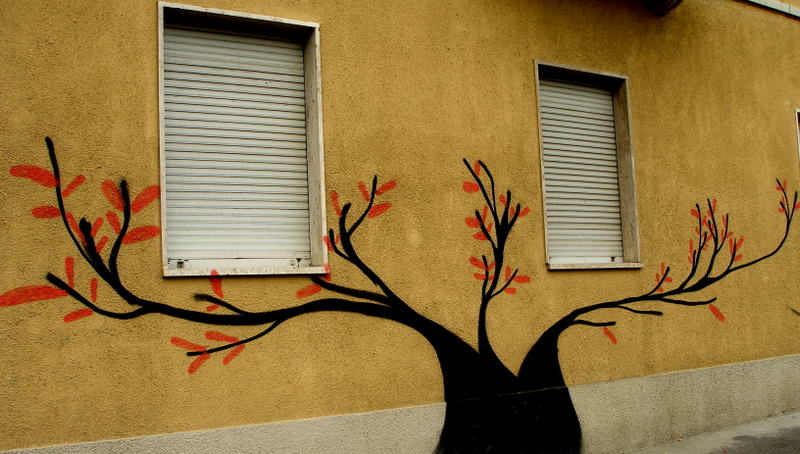 tree and windows