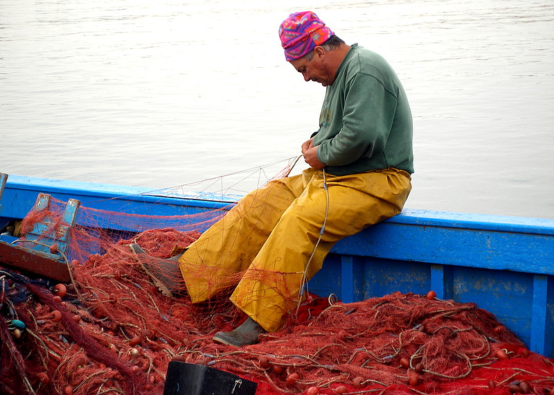 the fisherman