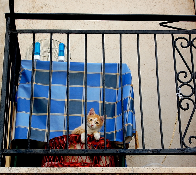 to the balcony