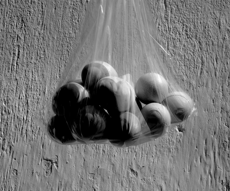 eggs