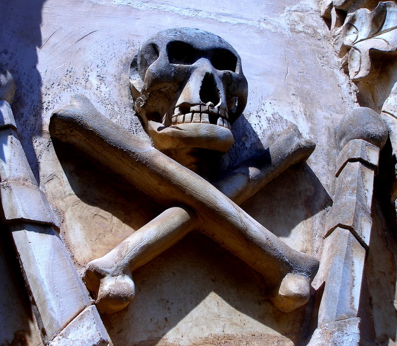 skull